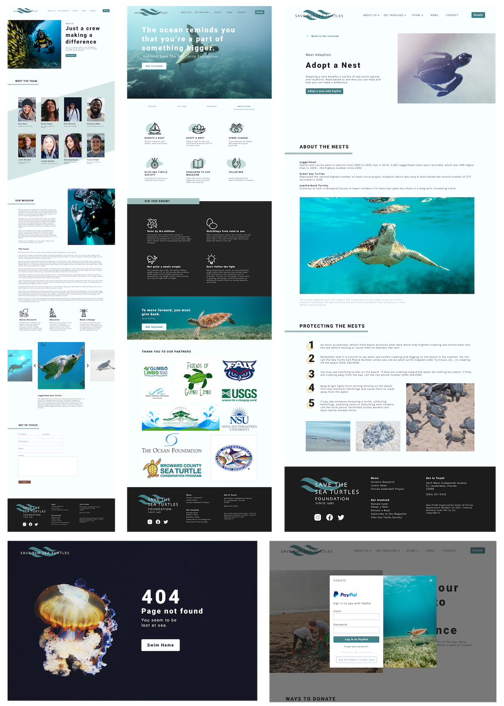 sea turtle Hi-Fidelity Desktop Designs