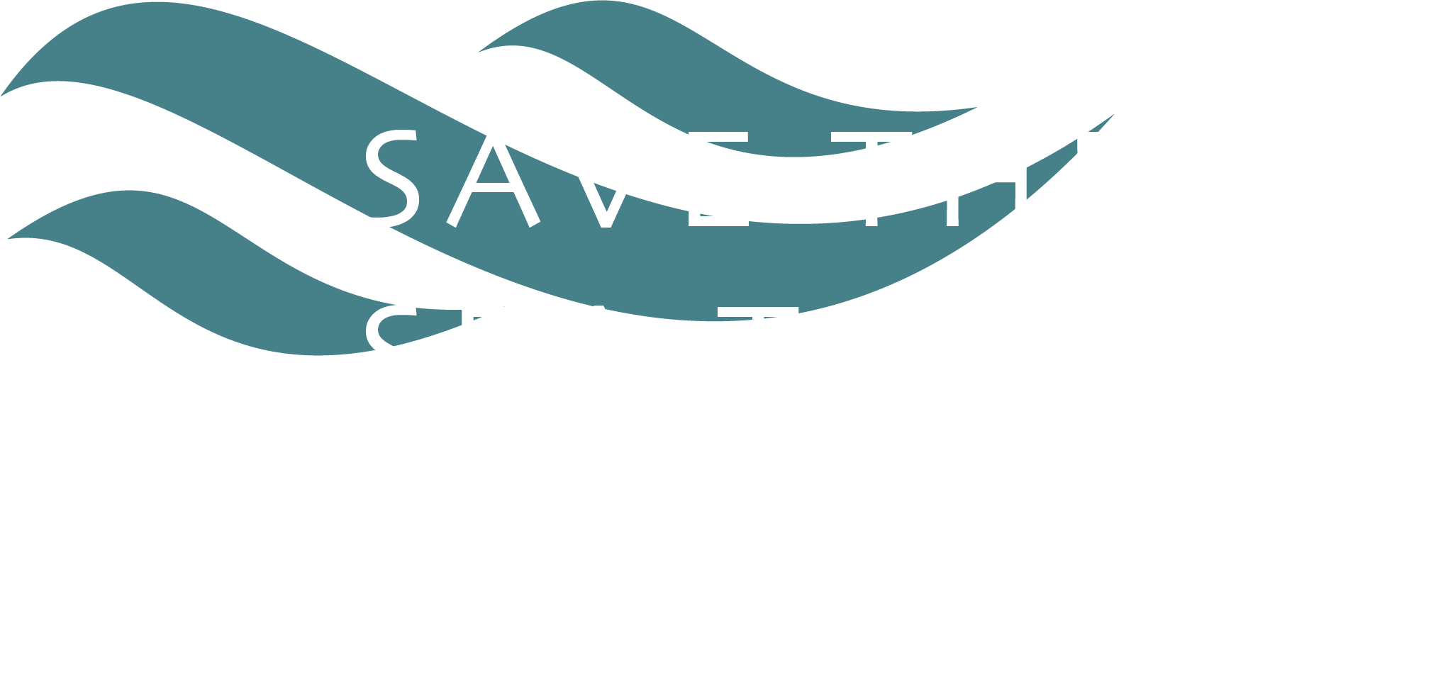 Save the Sea Turtles Logo